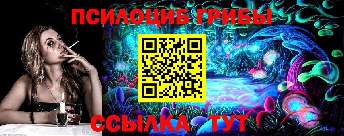 Псилоцибиновые грибы прущие грибы  Вход с VPN  Богородск  Псилоцибиновые грибы мицелий 